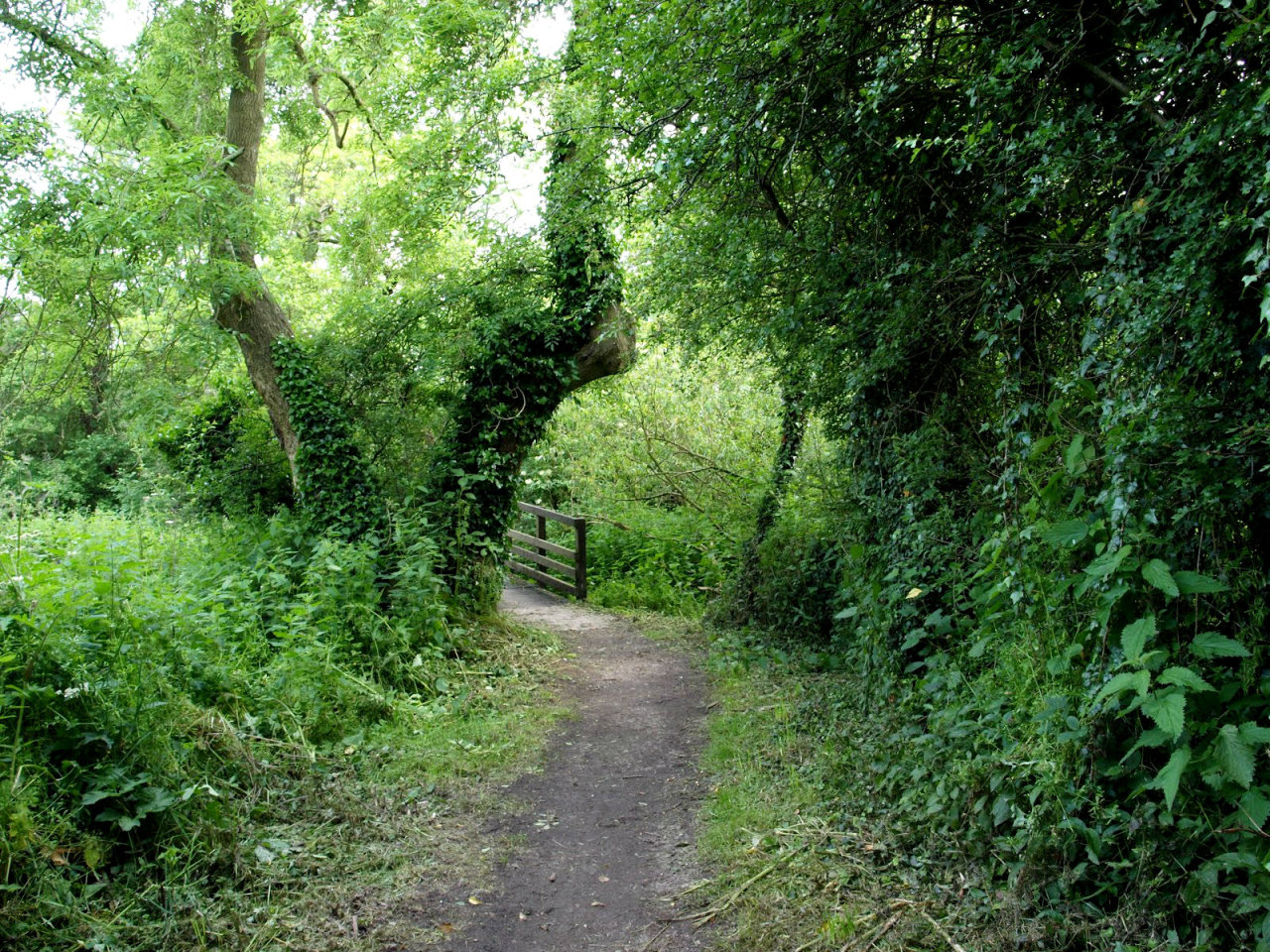 Catherine-de-Barnes, West Midlands