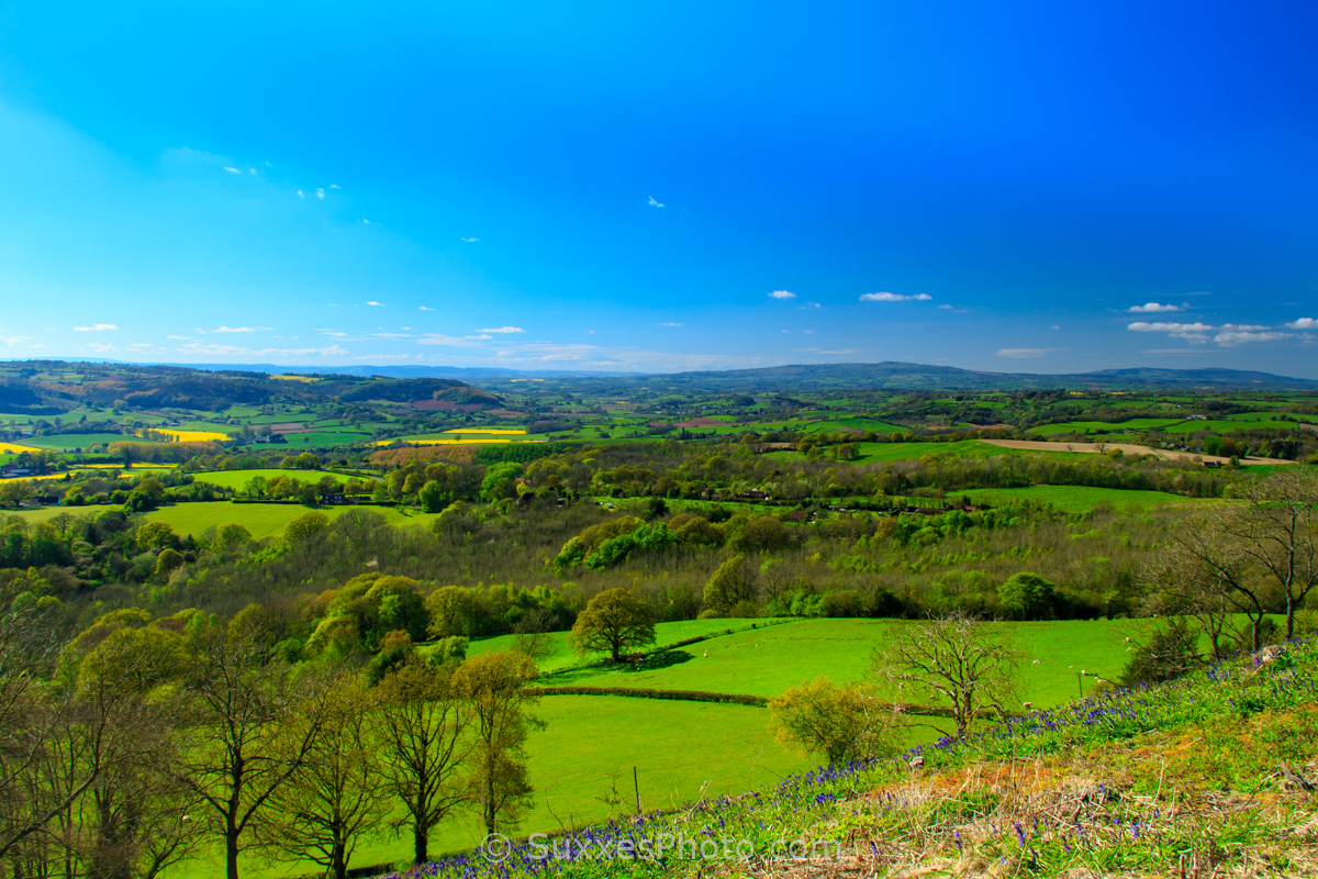 Great Witley, Worcestershire