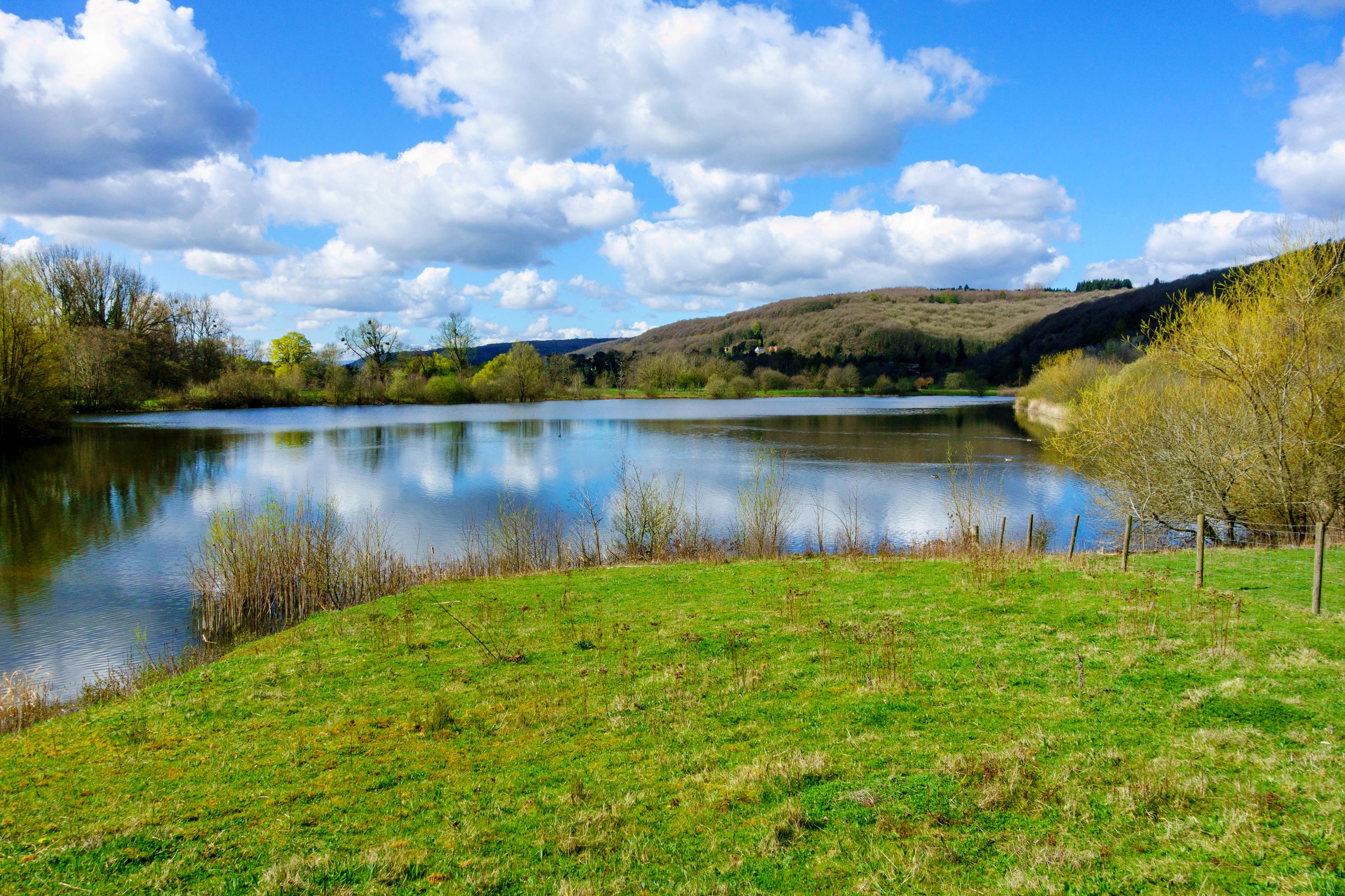 Bodenham Moor, Herefordshire