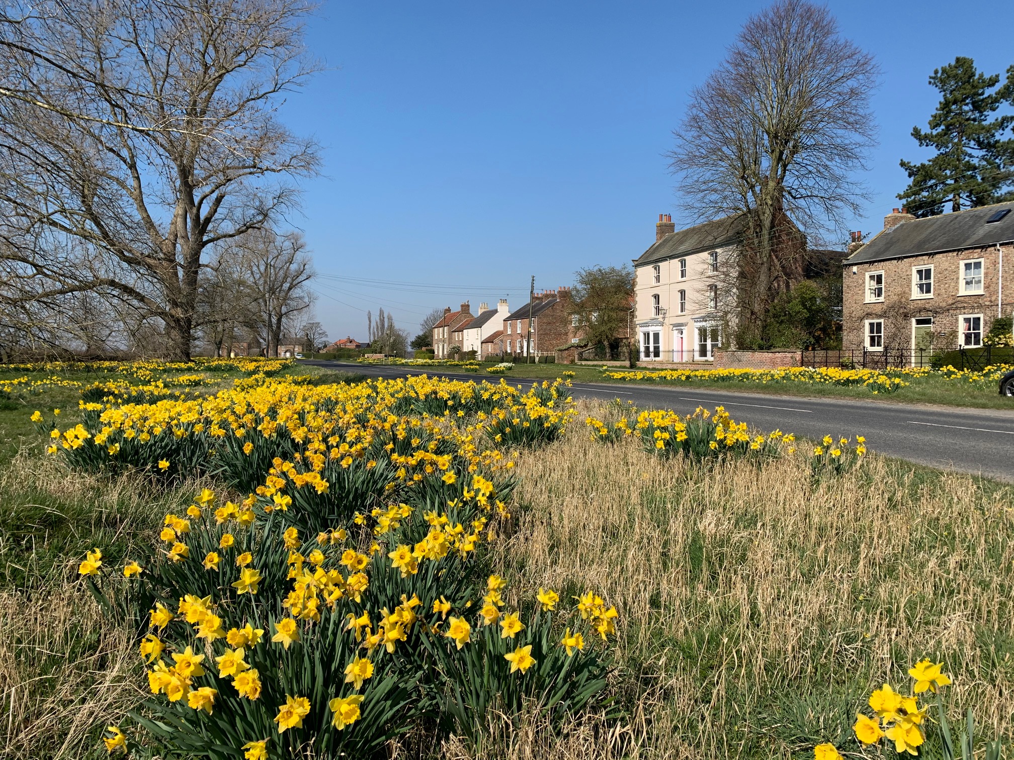 Flaxton, North Yorkshire