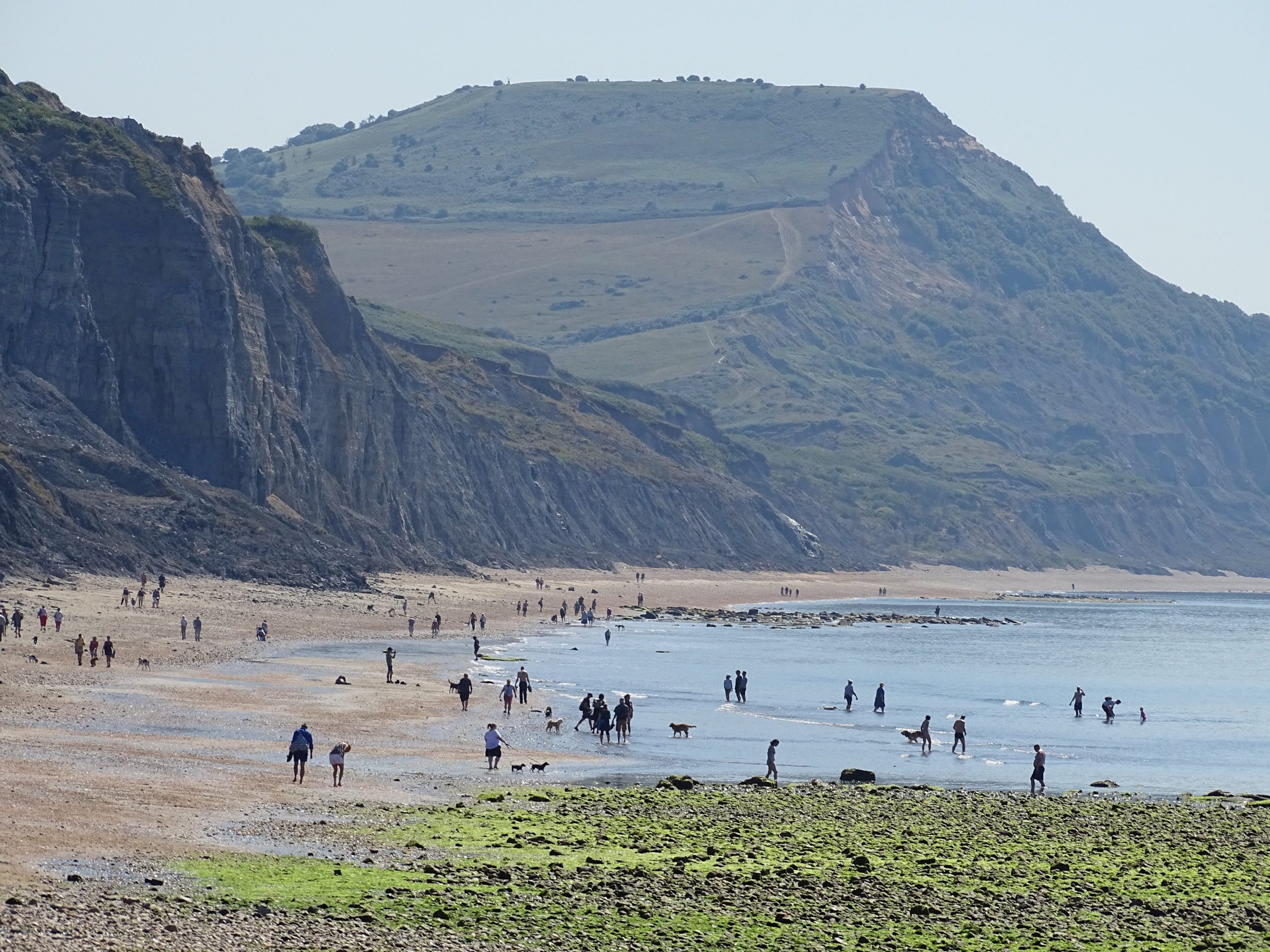 Charmouth, Dorset