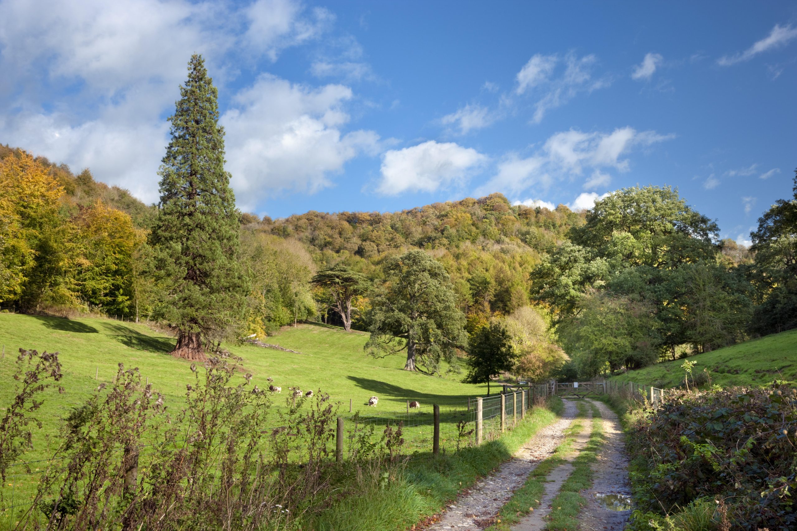 Woodchester, Gloucestershire